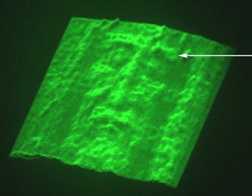 Ricostruzione tridimensionale del Volto con la traccia della moneta